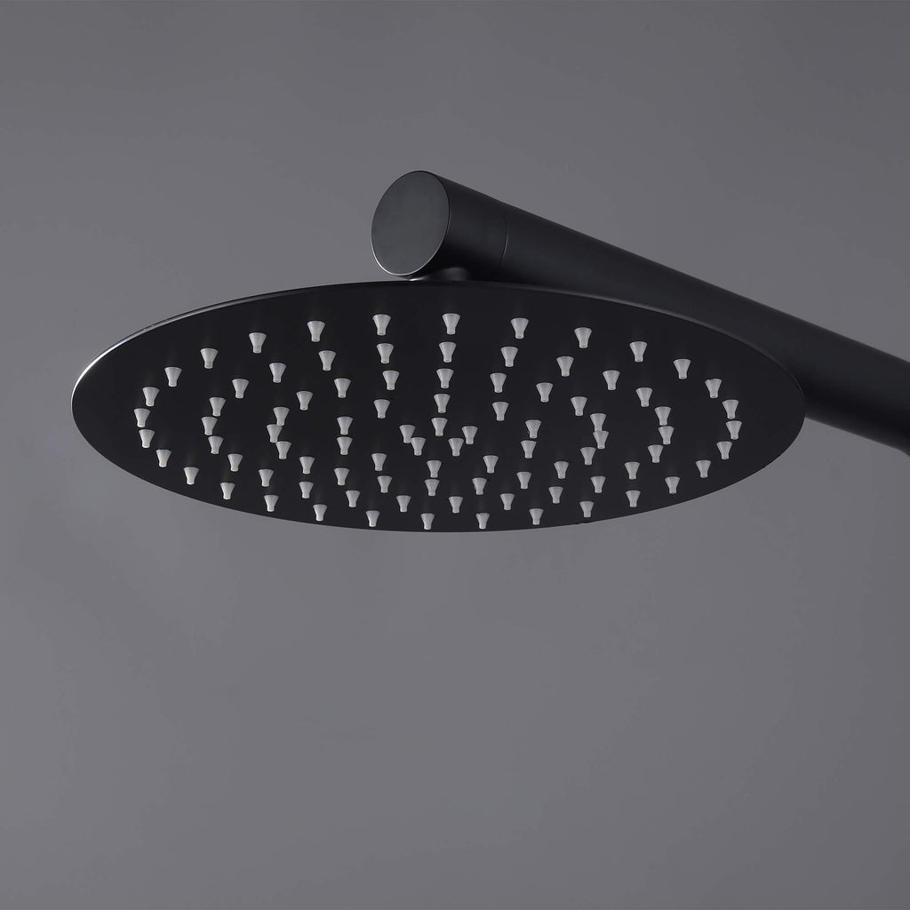 Avalon 316 Stainless Steel Freestanding Outdoor Shower